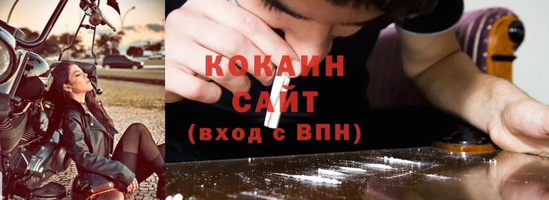 купить   Гусев  Cocaine FishScale 